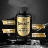 shilajit capsule
