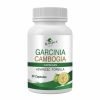 garcinia cambogia for weight loss