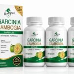 Garcinia Cambogia 3 Pack
