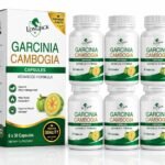 Longjack+ Garcinia Cambogia For Weight Loss ( Pack Of 6 )